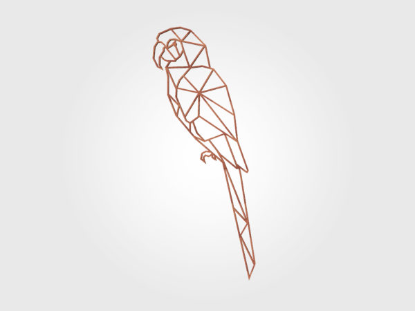Le Trophée Perroquet - orange