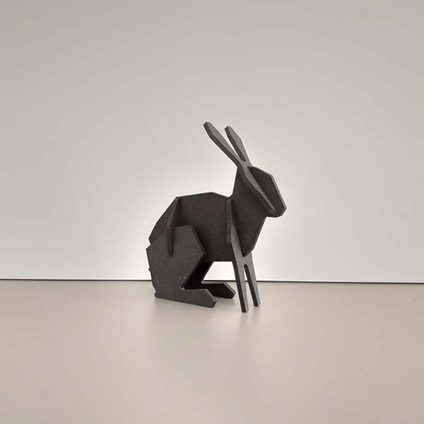 Bunny - Le lapin