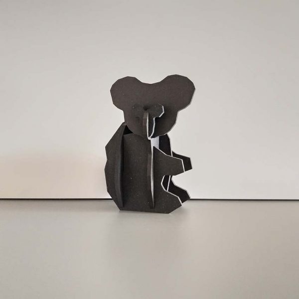 Lenny - Le koala