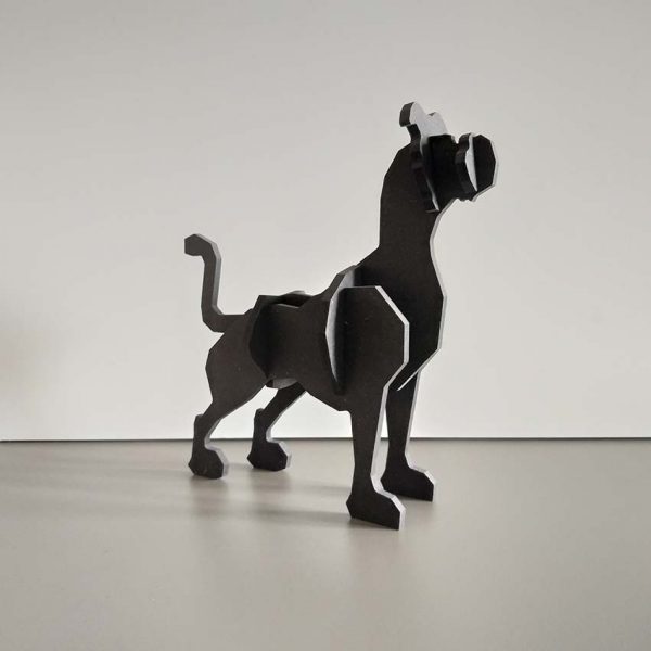 Scoubi-Joy - Le chien