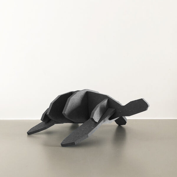 Sammy - La Tortue de mer